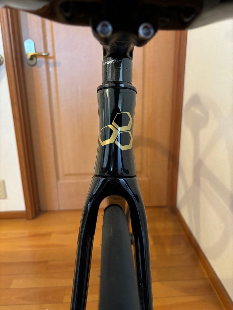 WIAWIS TXT REV9 SD カーボンフレーム