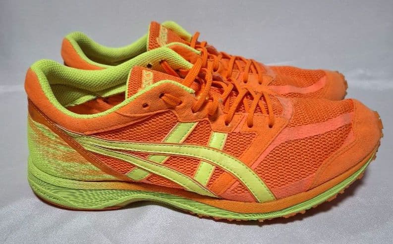 asics ランニングシューズ TARTHERZEAL　27cm