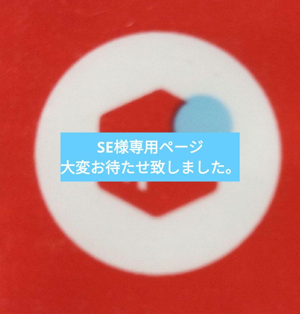 SEページになります。