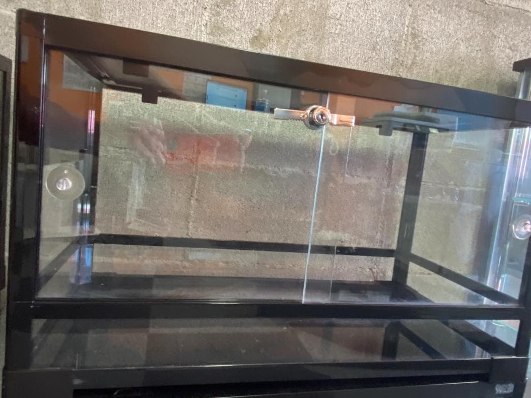 三晃商会 パンテオン ブラック BK6035　1つ