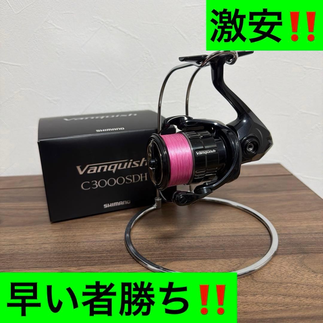 19ヴァンキッシュC3000SDH 激安‼️