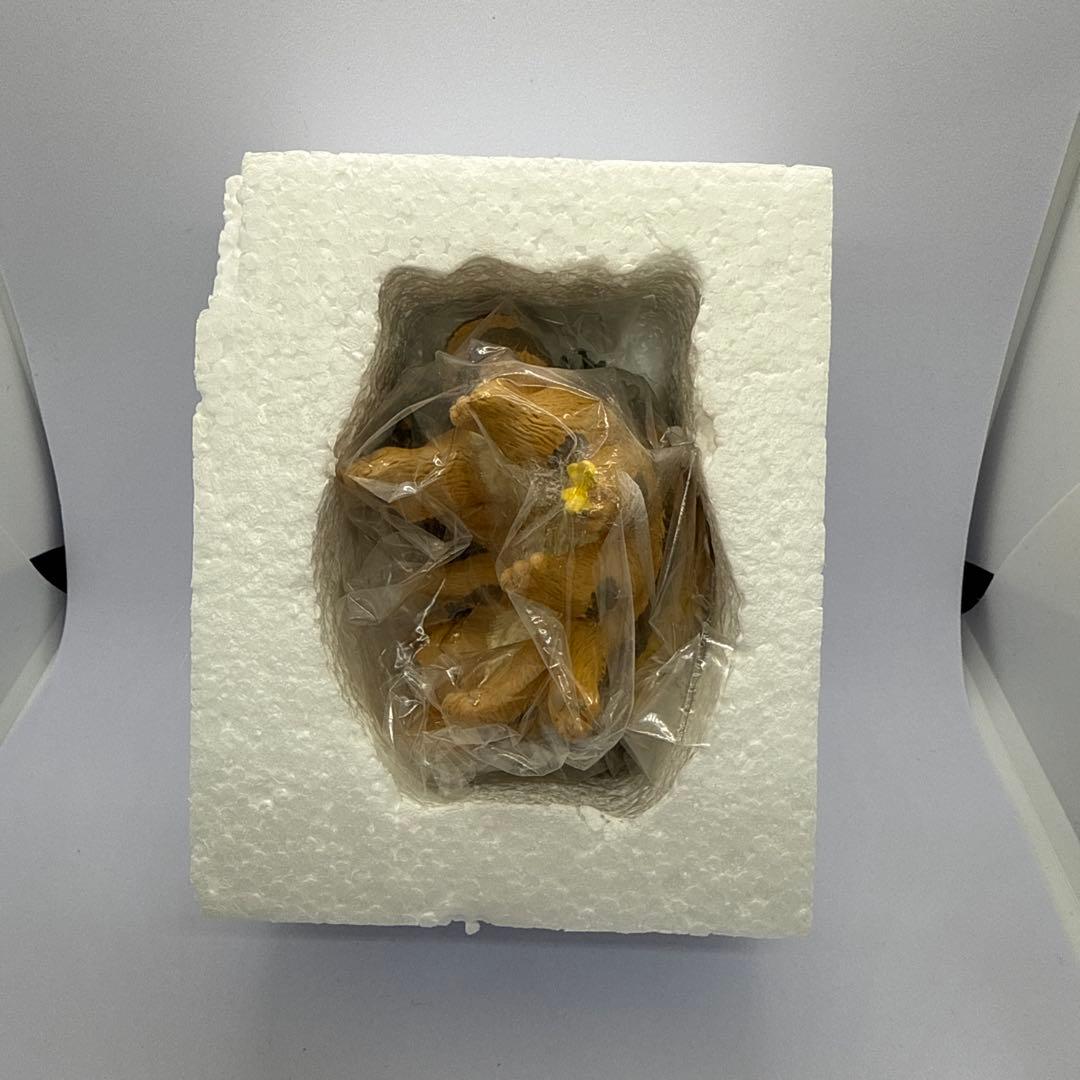 となりのトトロ 雑木林のトトロたち フィギュア 6個セット