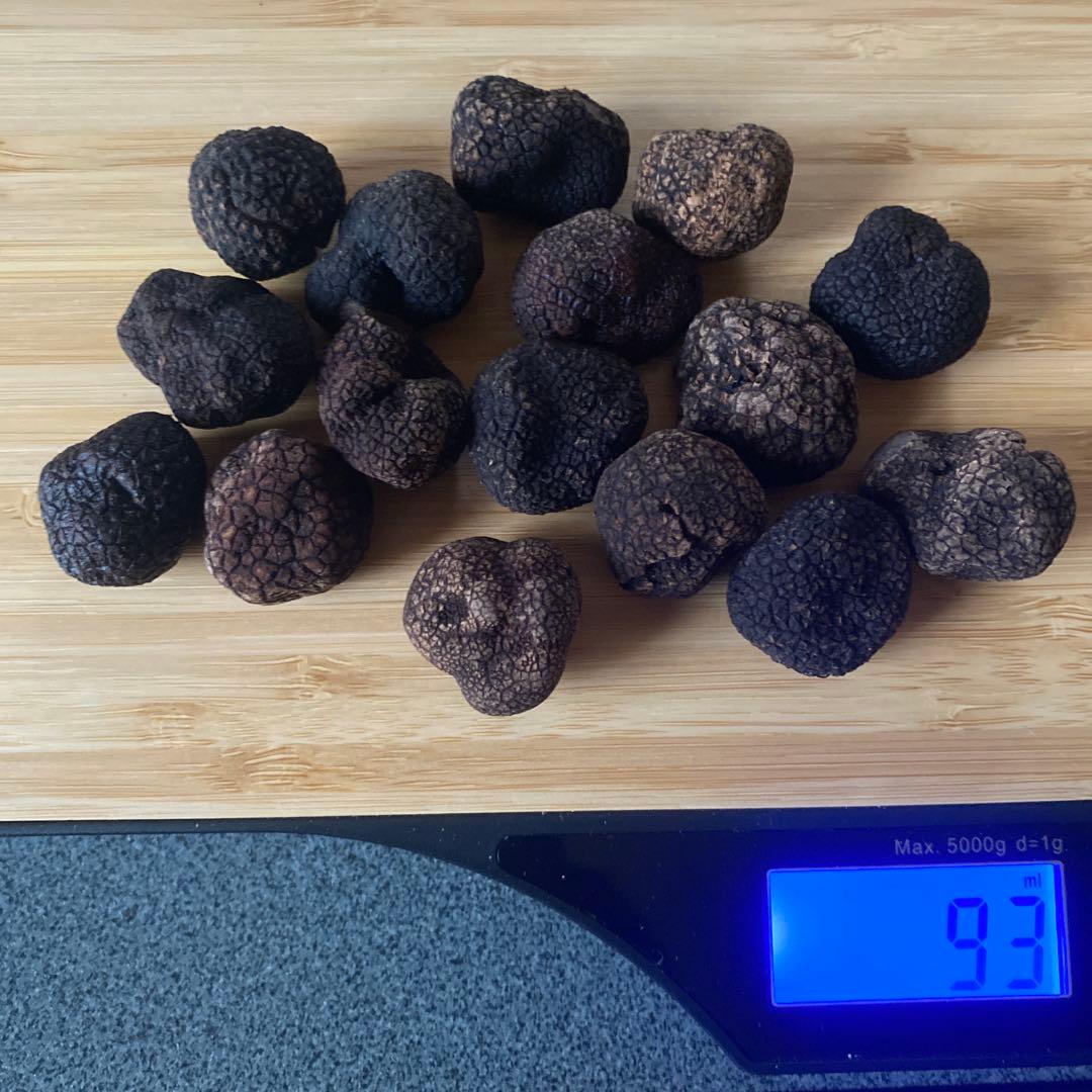 国産　山梨県産　天然黒トリュフ　大 約93g