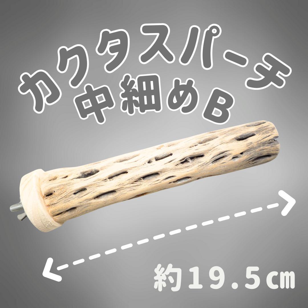 user_60ebcae4　止まり木　カクタススケルトン　パーチ