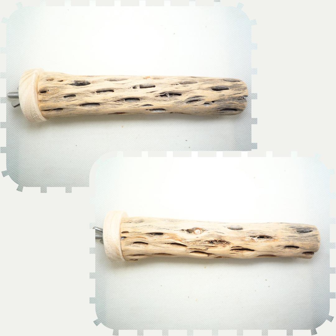 user_60ebcae4　止まり木　カクタススケルトン　パーチ