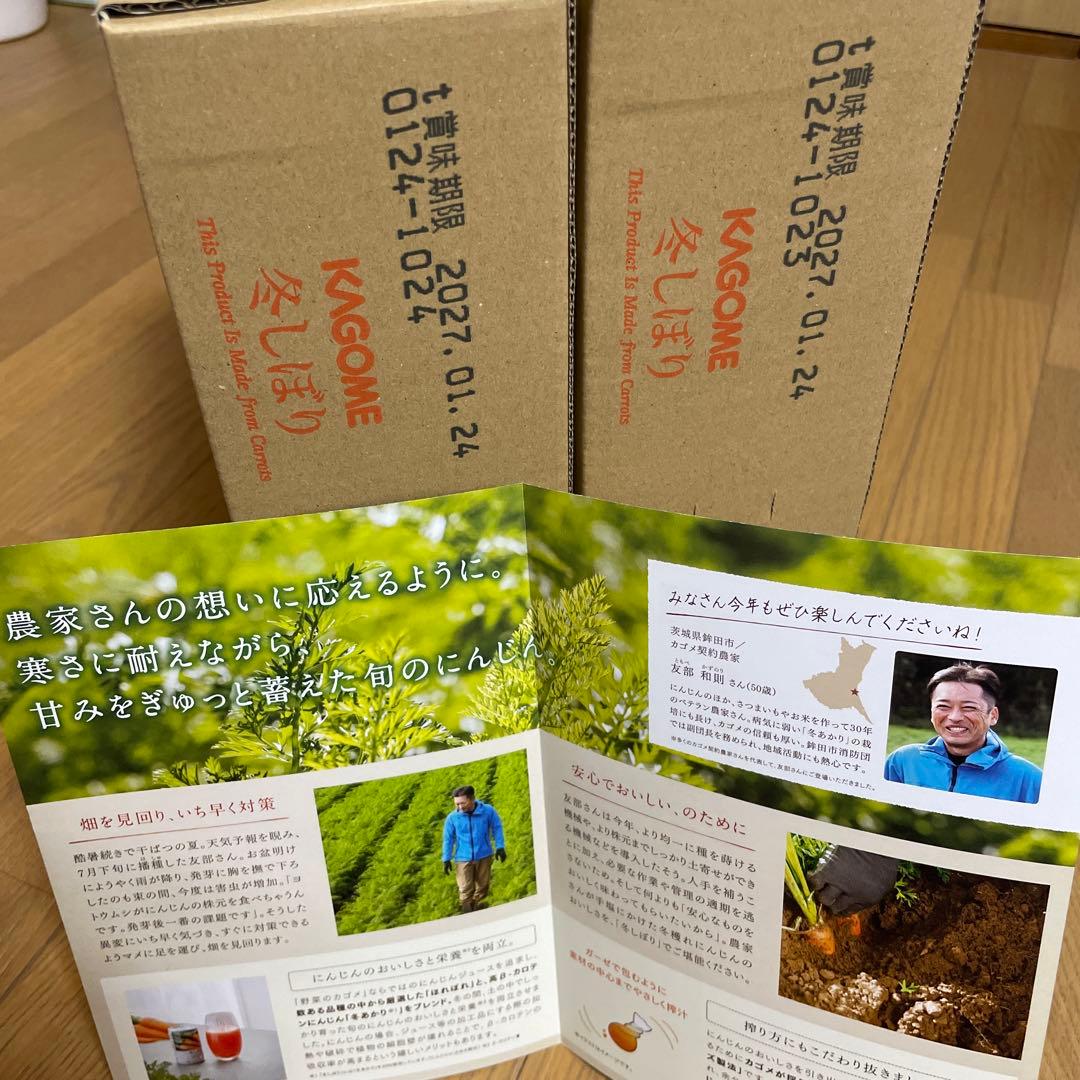 冬しぼり2025 カゴメ　にんじんジュース　健康直送便　30缶×2ケース