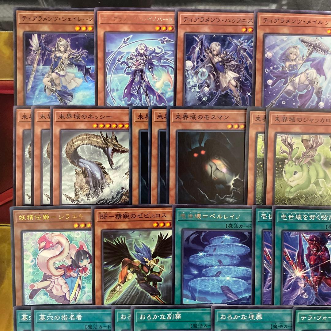 優勝構築 未界域ティアラメンツデッキ シェイレーン ケルドウ 未界域のネッシー