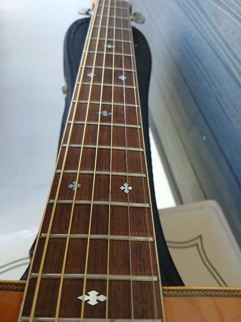 BLUERIDGE FOLK GUITAR Custom (セミHC付)