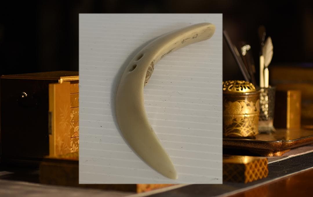 ●石見根付 ●蜘蛛 ●猪牙 古牙 獣牙 時代物 骨董 いのしし