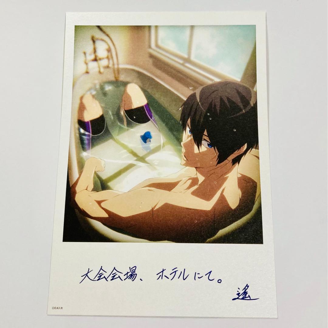 劇場版 Free! 限定特典 A5サイズ大判イラストカード 4枚セット＋応募券