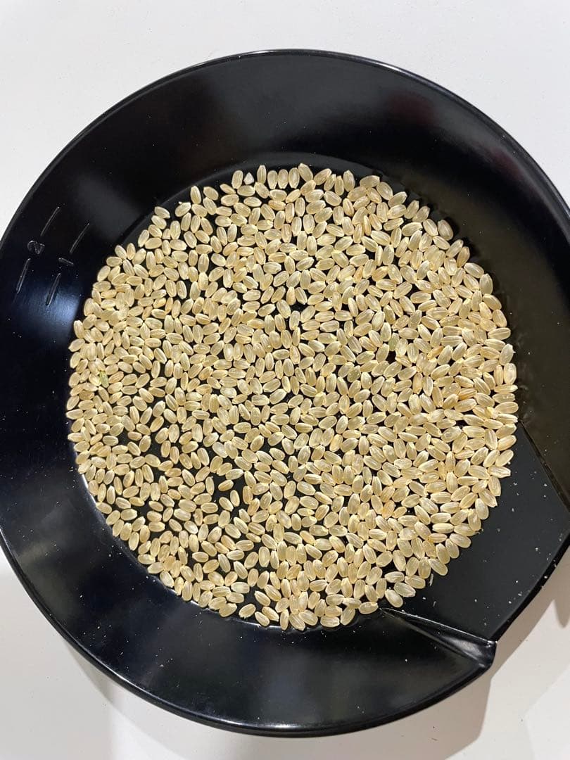 新米令和7年　富山県産　コシヒカリ　３０キロ　玄米