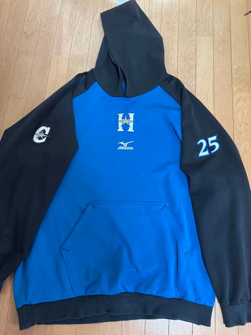 希少品 NPB記録保持者 宮西尚生実使用パーカー