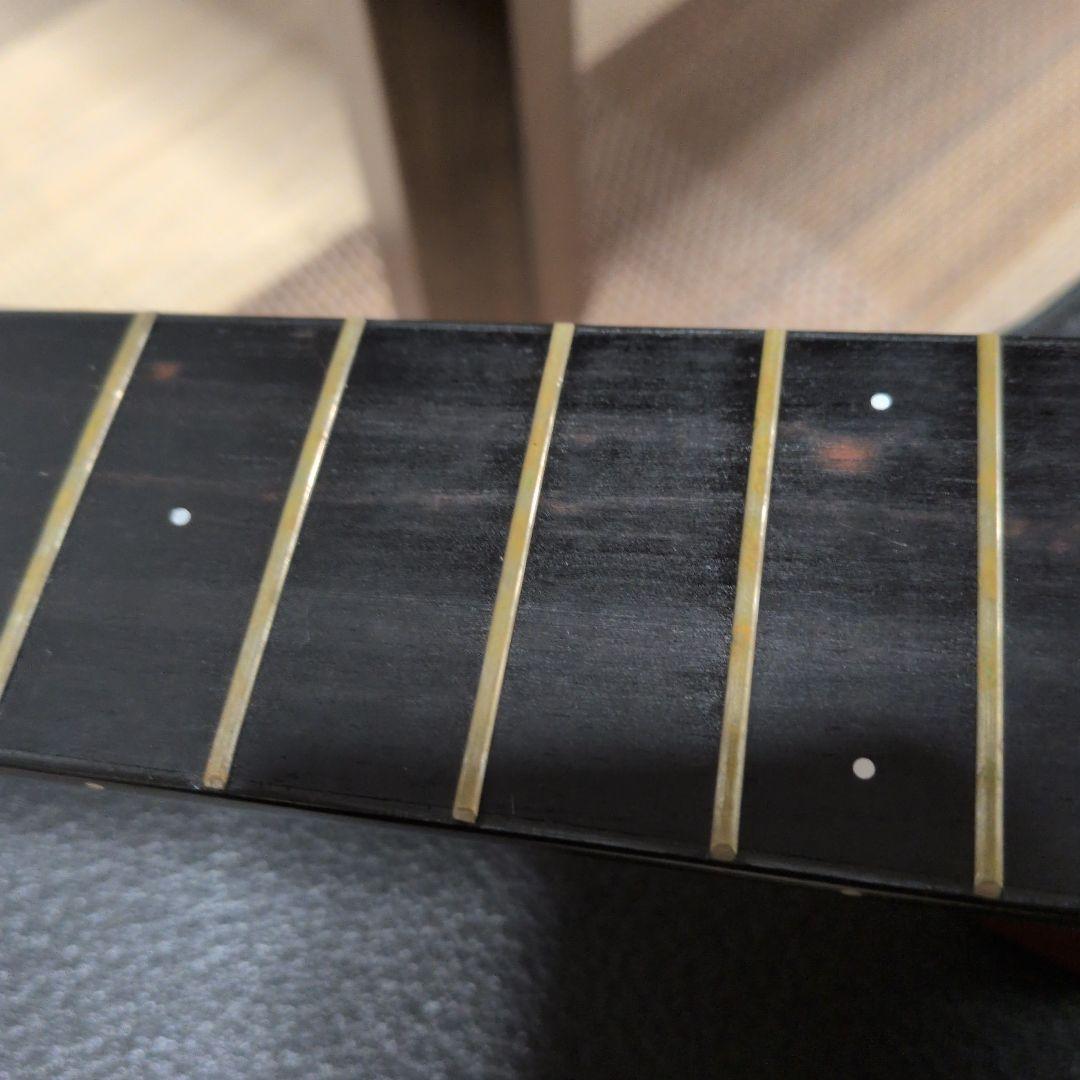 Larrivée ラリヴィー アコースティックギター