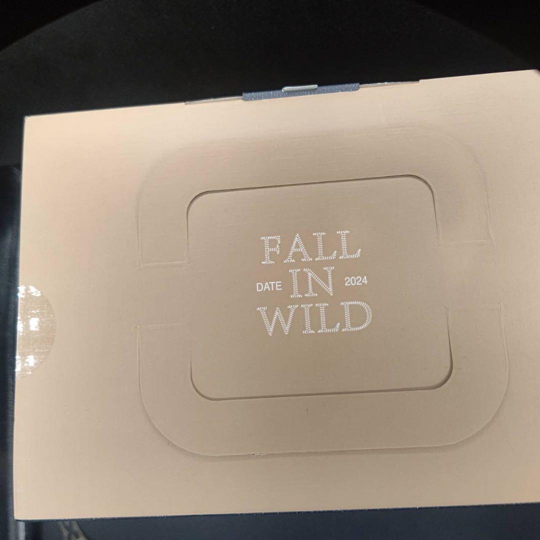 正規品ラブブ　POP MART FALL IN WILD ぬいぐるみ