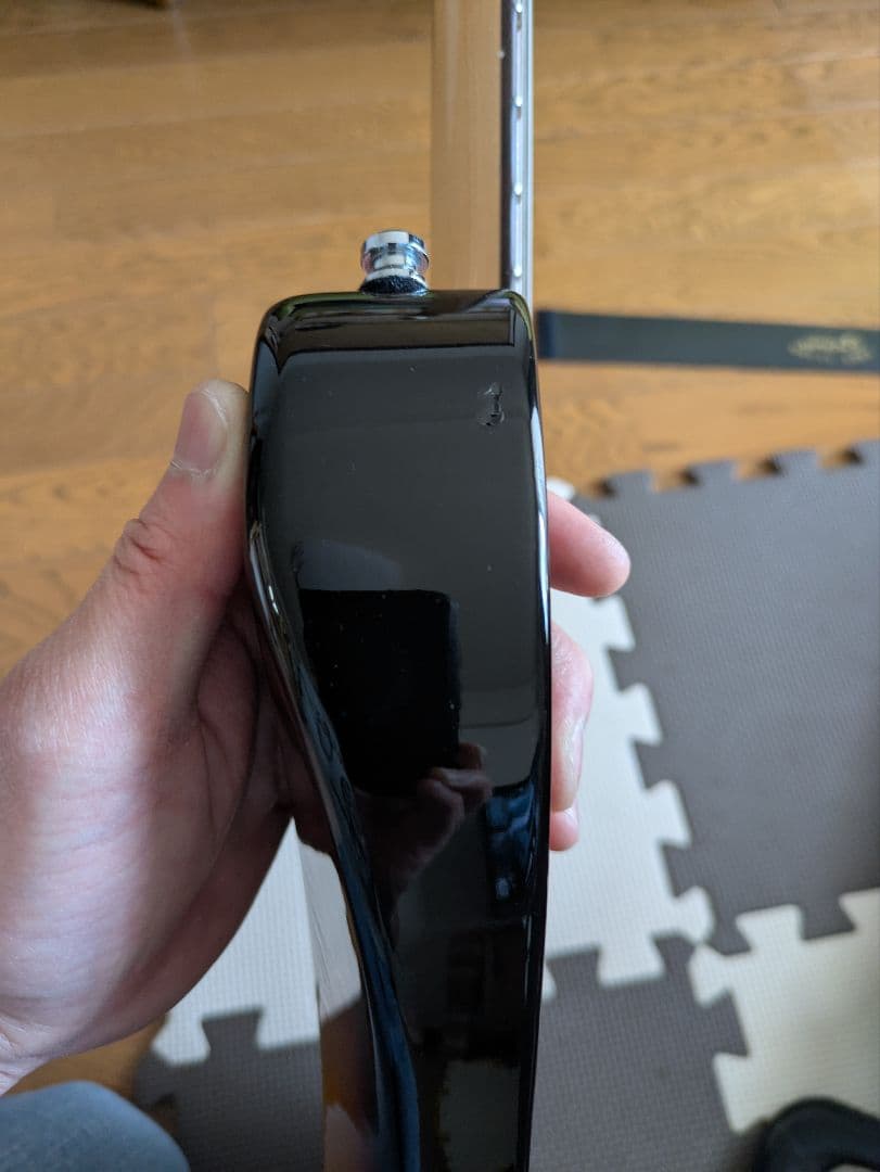 Fujigen エレキギター EOS expert os oder