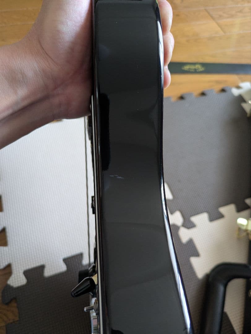 Fujigen エレキギター EOS expert os oder