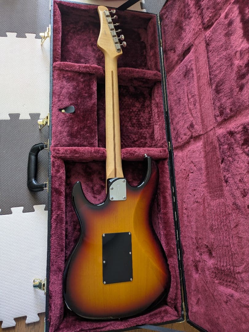 Fujigen エレキギター EOS expert os oder