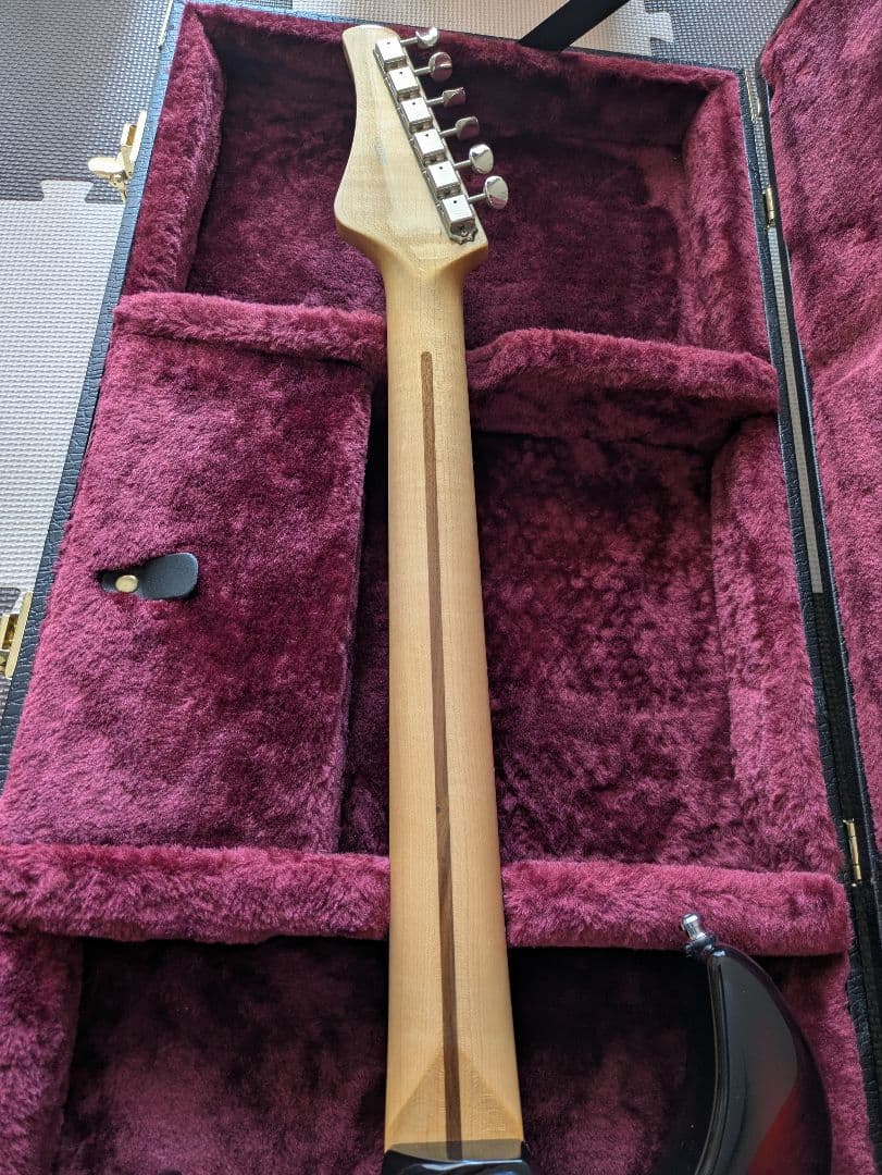 Fujigen エレキギター EOS expert os oder