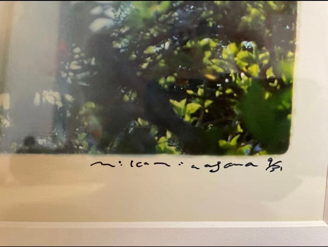 蜷川実花　BABY BLUE SKY - 1