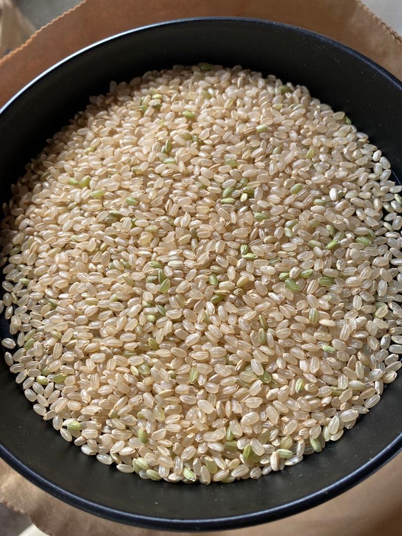 令和7年　つきあかり　無洗米に精米