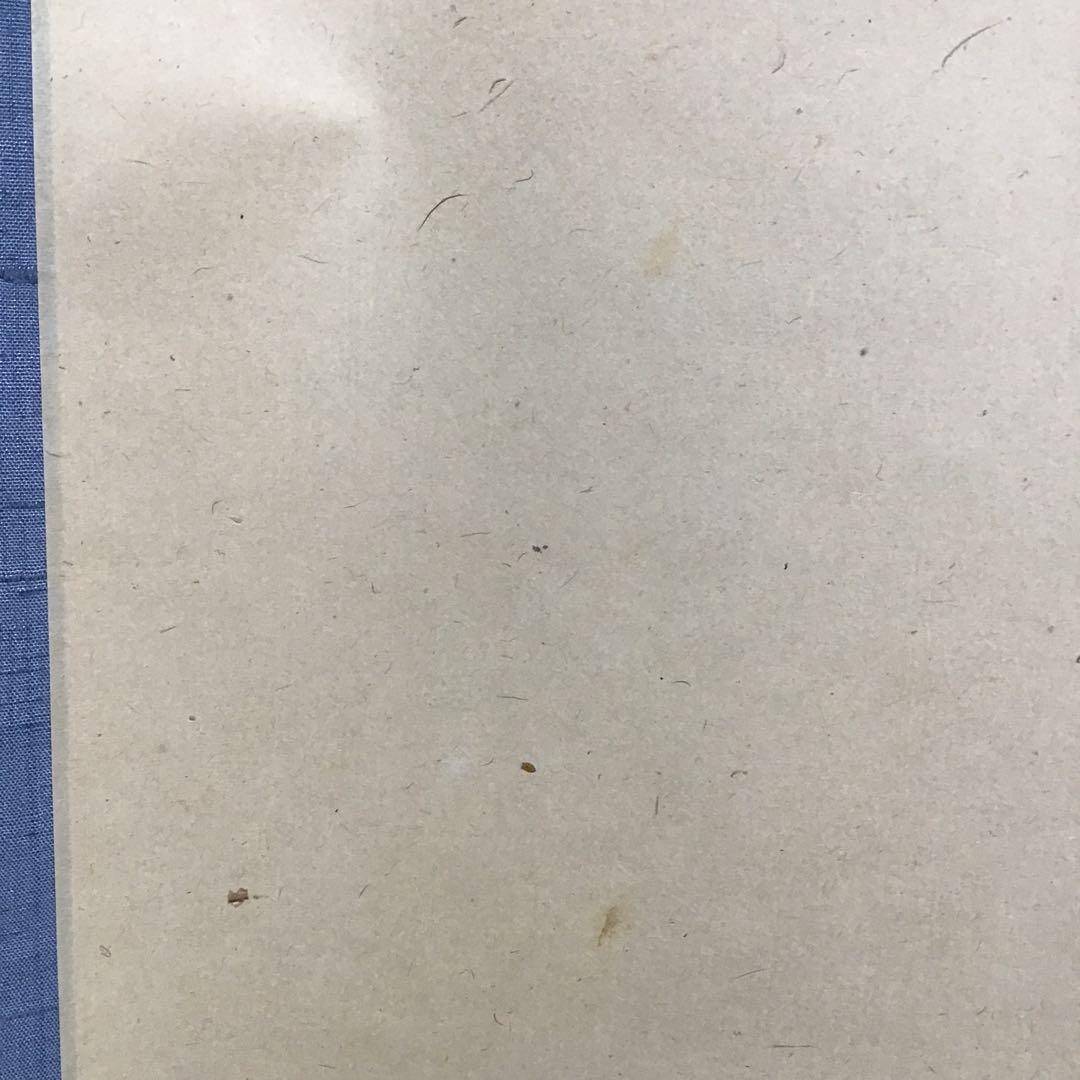 K茶道具　掛軸　蝙蝠の絵　松尾流家元宗吾(不染斎)作　共箱　紙箱　S1048KJ