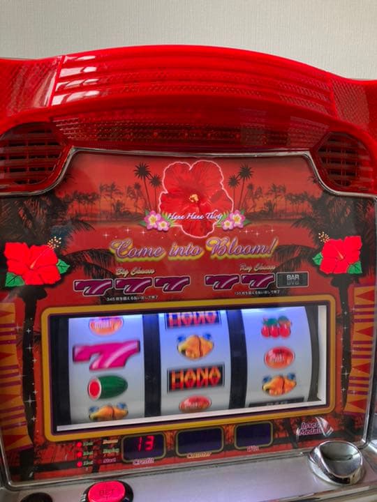 スロット 実機　スペシャルハナハナ