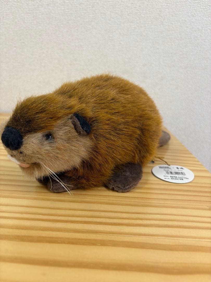 SUPER BEAVER ビーバーちゃん　ぬいぐるみ