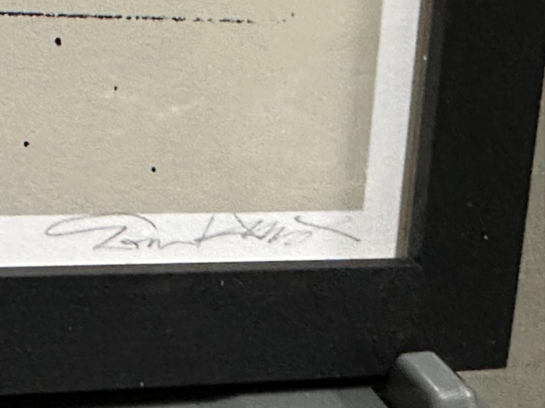 EVAN HECOX作 Chinatown Summer, 2009