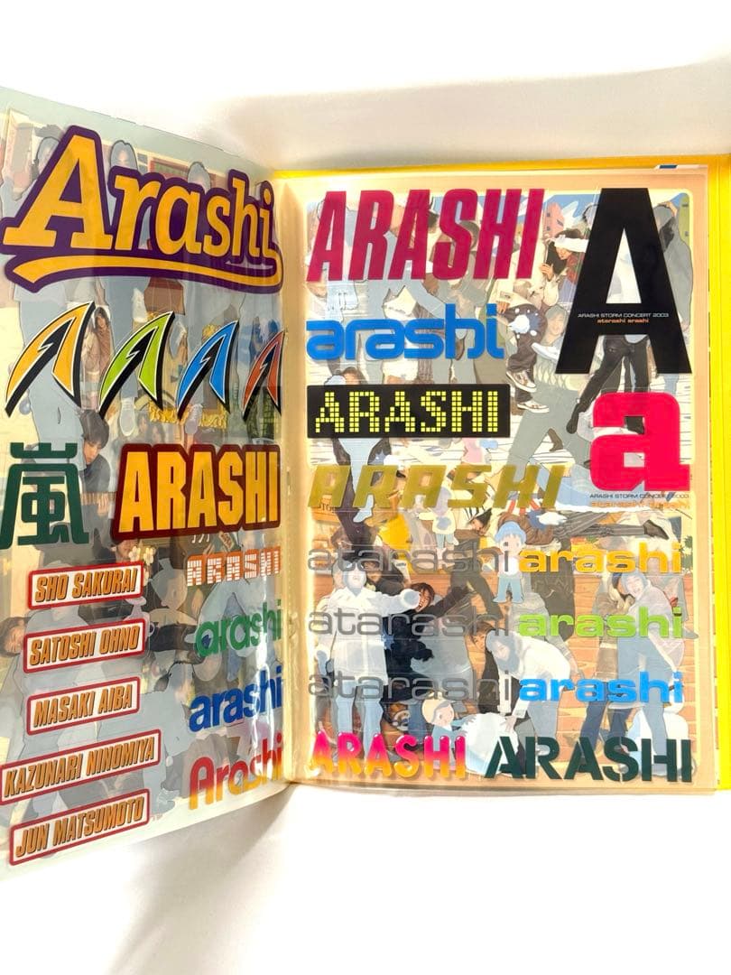 嵐 あたらしあらし 2003 新嵐 atarashiarashi パンフレット