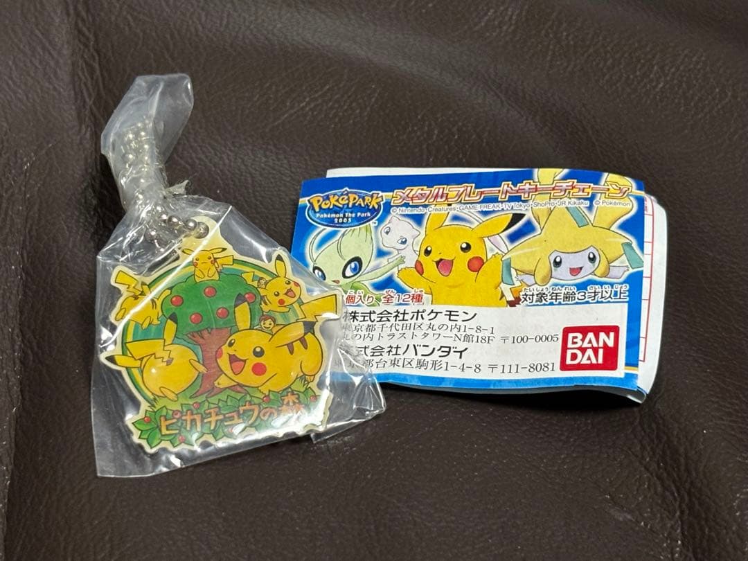 希少　激レア　ポケパーク　ピカチュウの森　メタルプレートキーチェーン　ポケモン