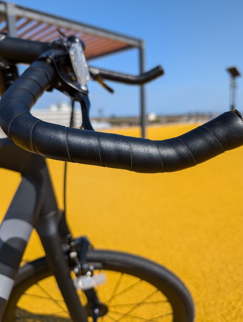 Tern SURGE UNO ミニベロ ピストバイク　ターンサージュウノ