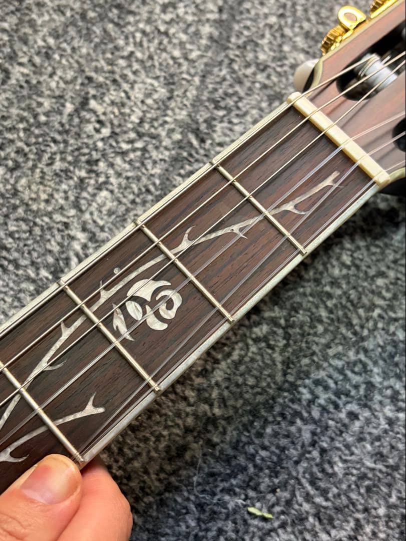 ibanez TOD10N ティム・ヘンソン　エレガット