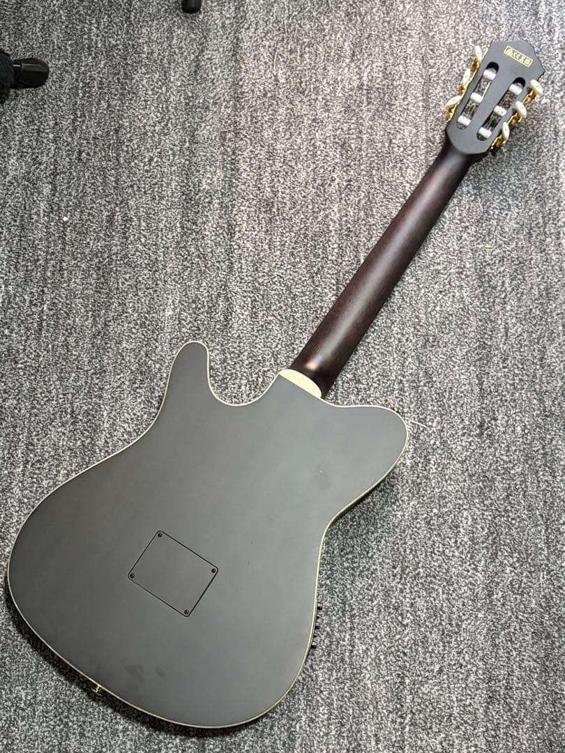 ibanez TOD10N ティム・ヘンソン　エレガット