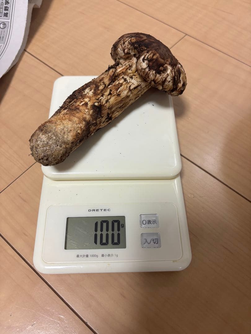 宮城県気仙沼産 極上松茸 370g