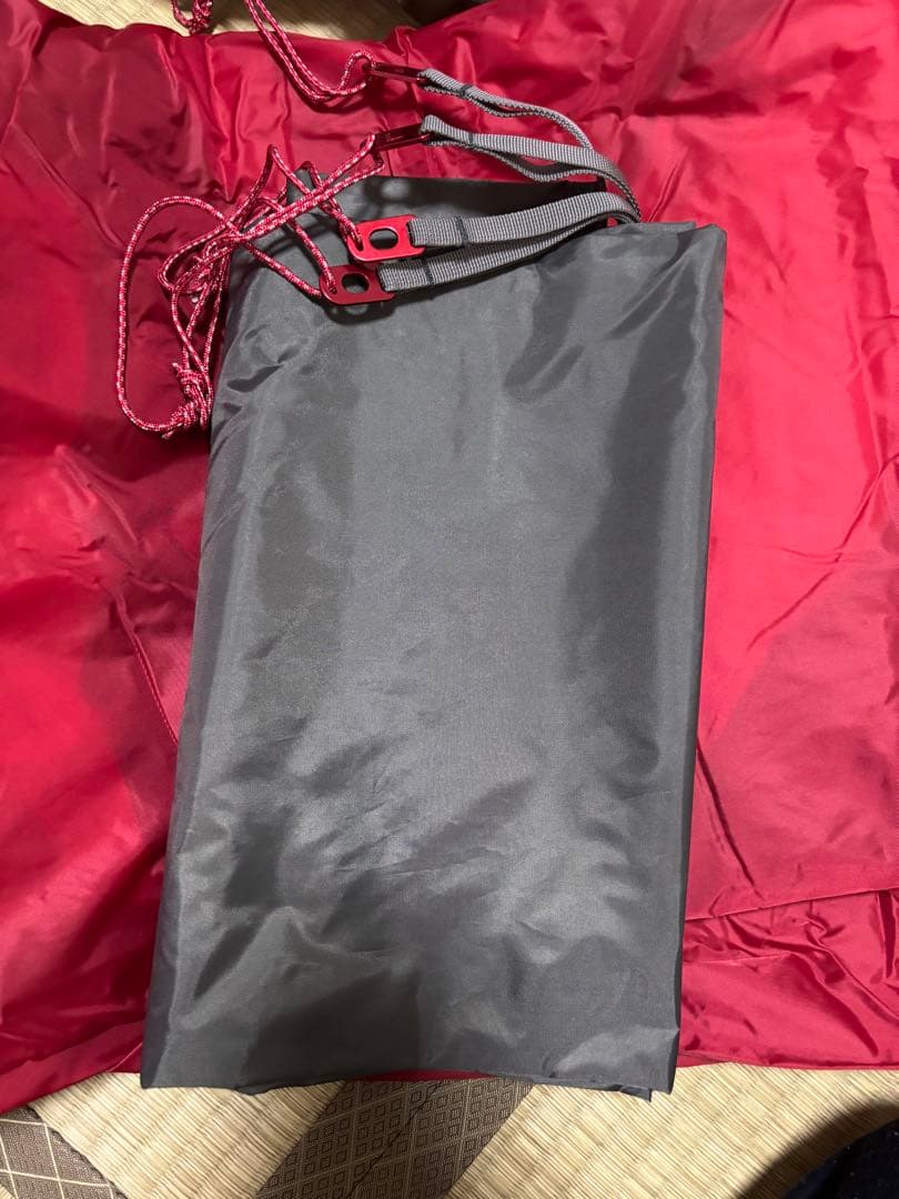 1回使用　MSR エリクサー2 テント　ヨーロッパ　モデル　グリーン