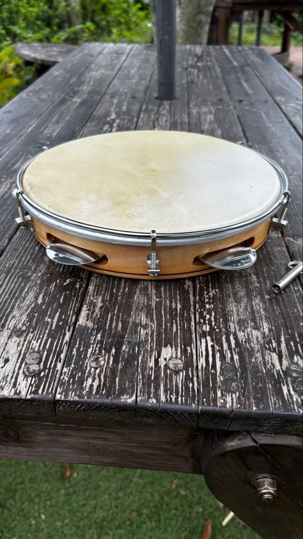 タンバリン, パンデイロ　Pandeiro size10 capoeira