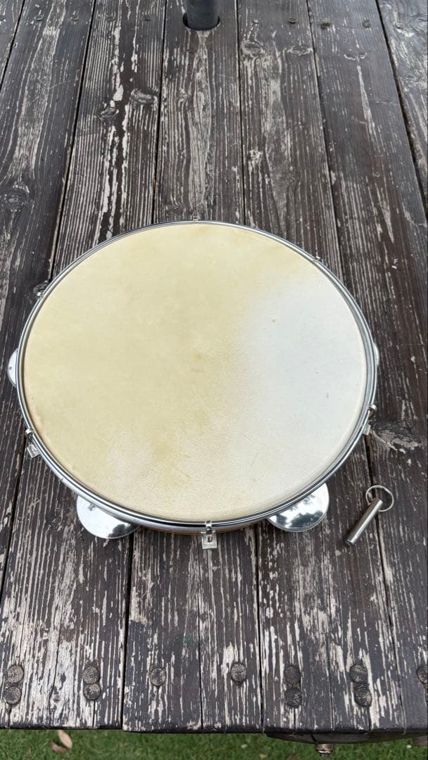 タンバリン, パンデイロ　Pandeiro size10 capoeira