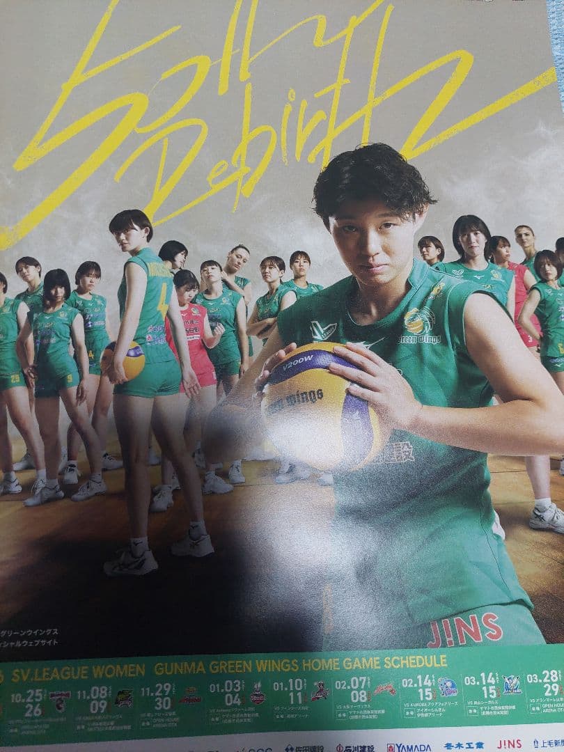 群馬グリーンウィングスポスター、ファイル