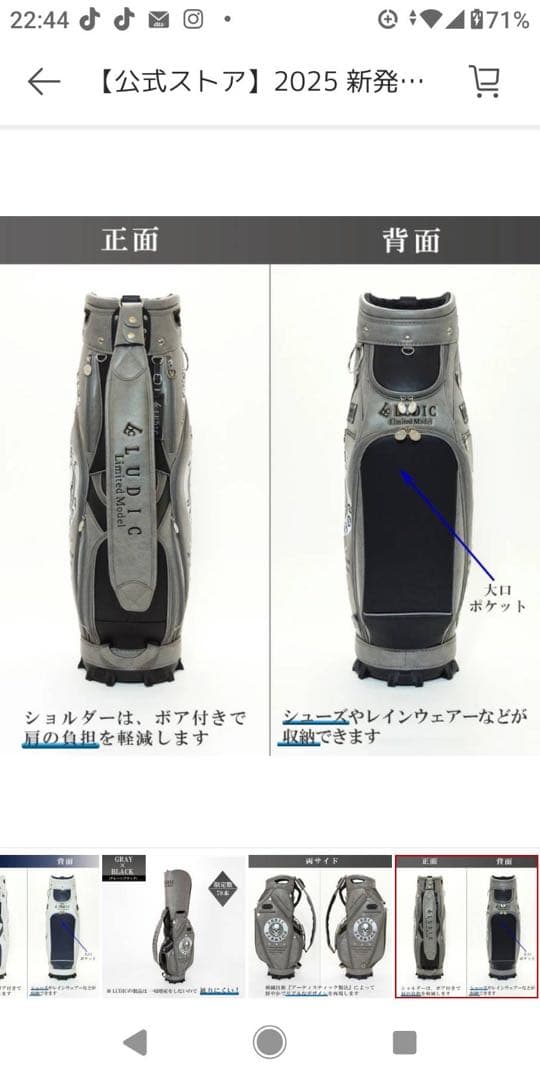 ルディック キャディバッグ スカルバージョン グレー×ブラック 限定70本