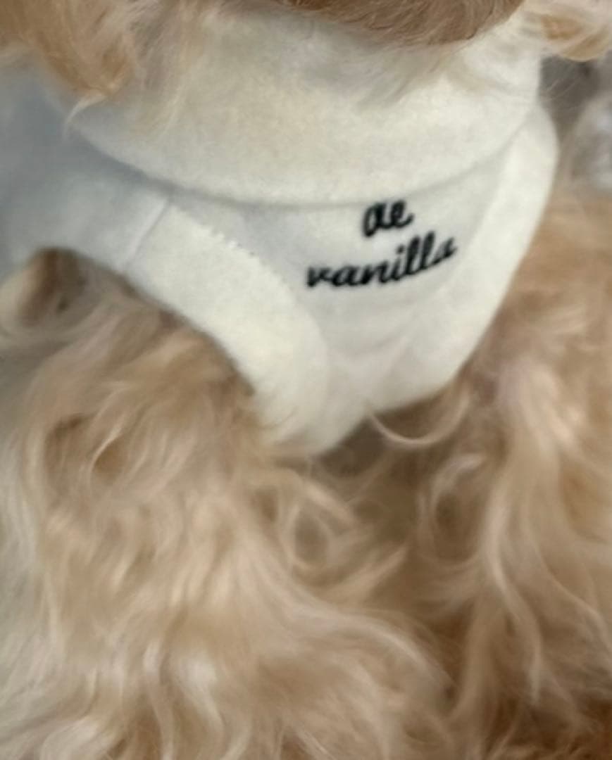 アトリエGG BRANCHDATE WH 19½