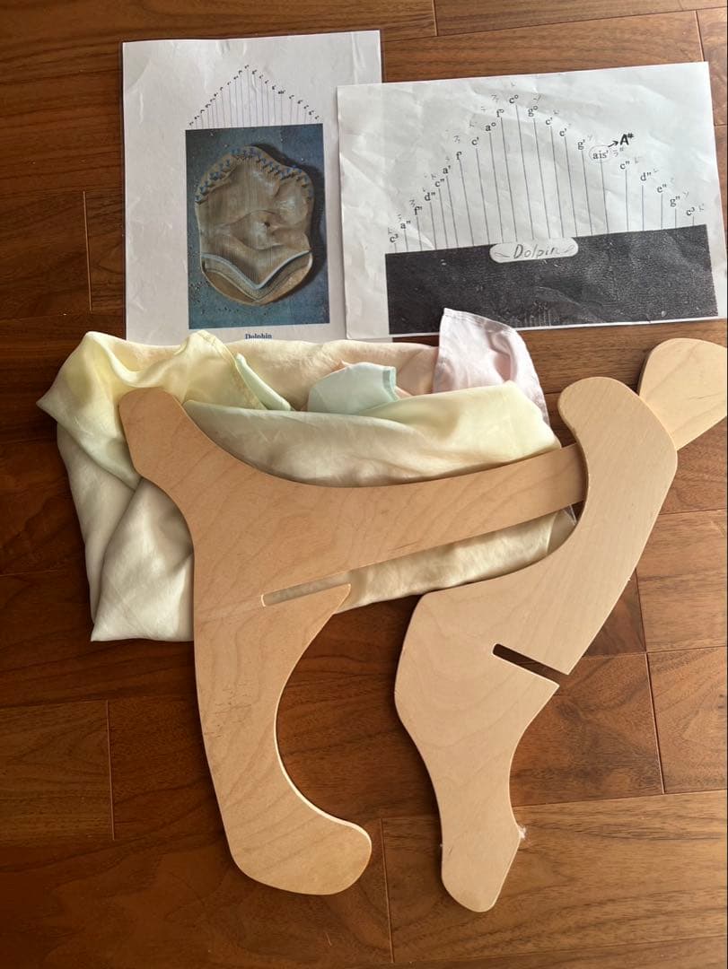 ソウルサウンドライアー63弦とケース