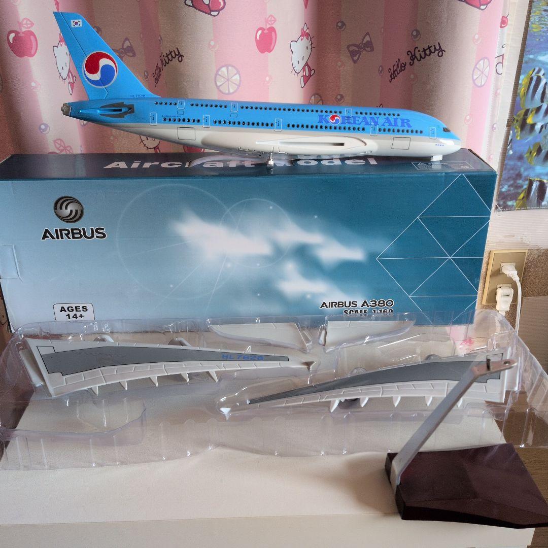 韓国旅客機約50cm