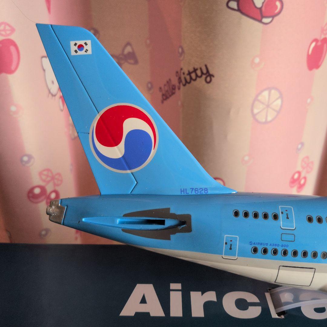 韓国旅客機約50cm