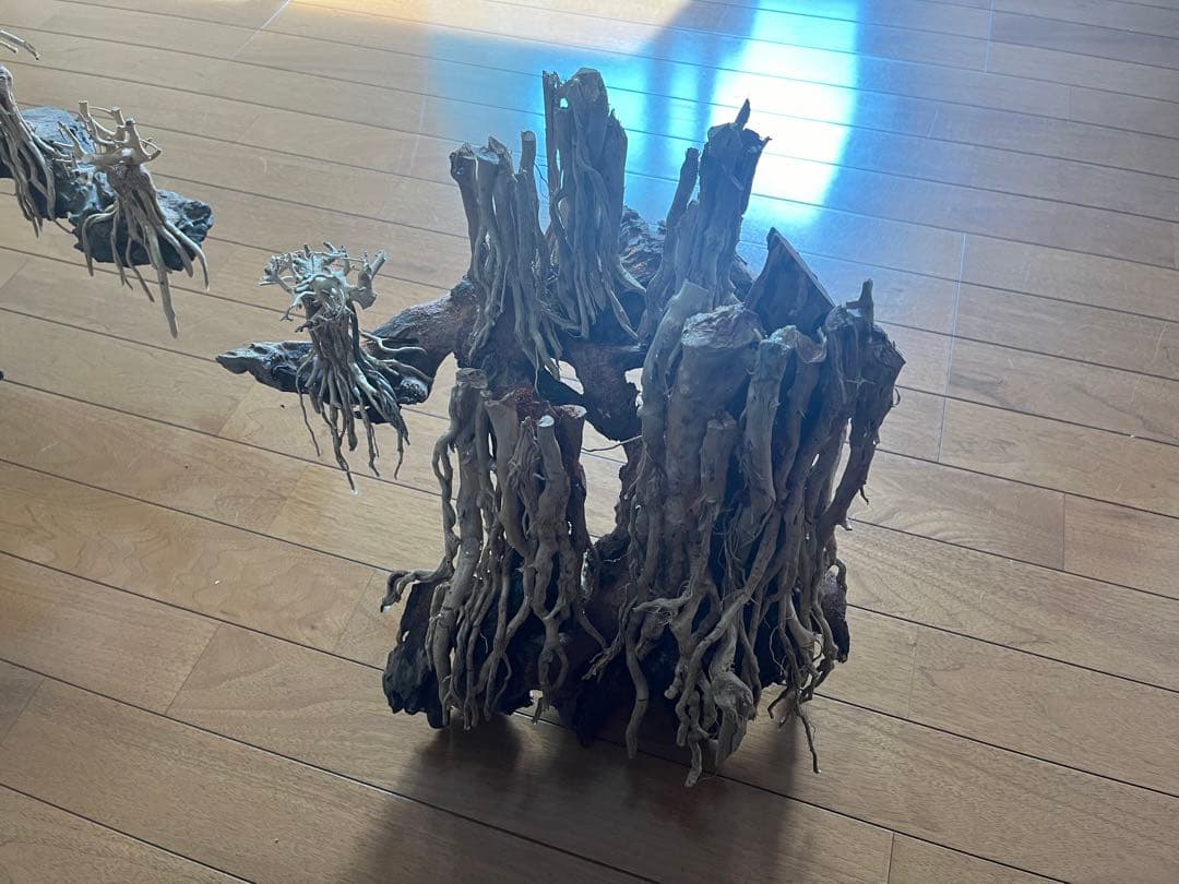 流木　空洞型バニヤン盆栽流木　水槽レイアウト【職人技】