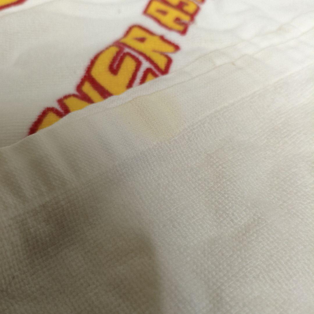 PHS　POWER ASTEL　ジャンボタオル