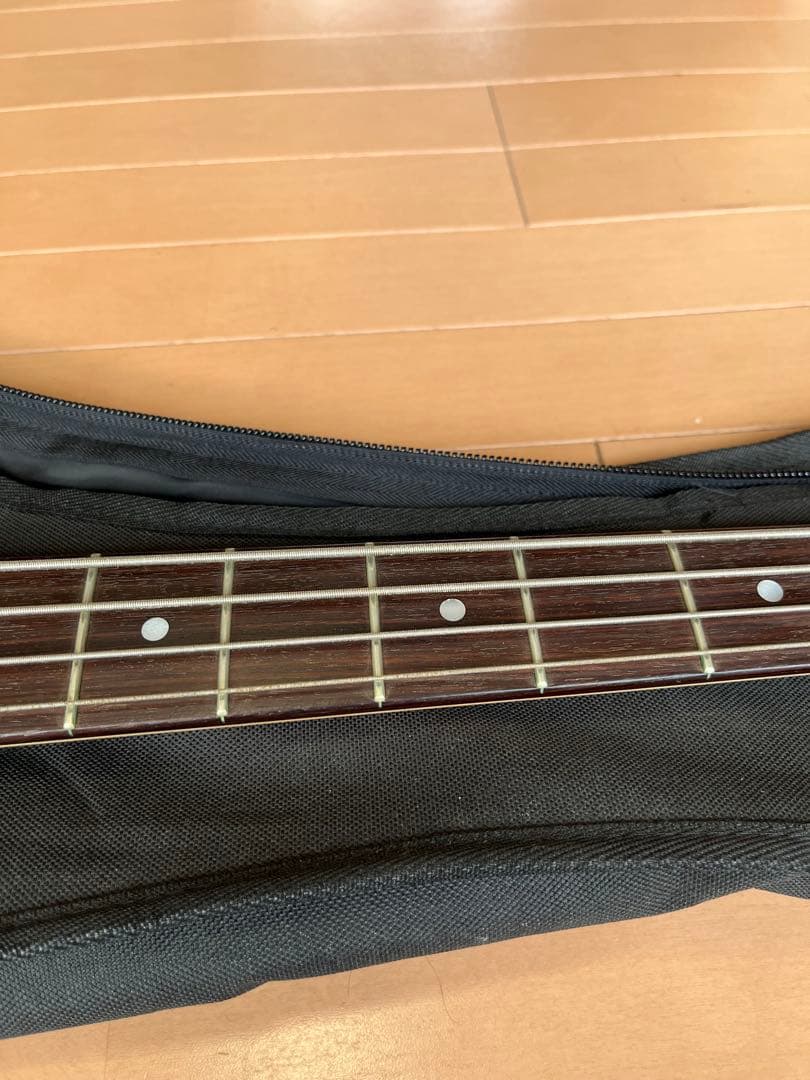 エレキベース　Bacchus ソフトケース付き