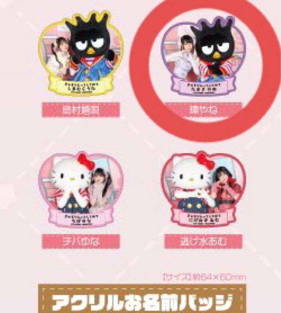 きゅるりんってしてみて 環やね でぃあふぁみりぃ 2023 アクリルお名前バッジ