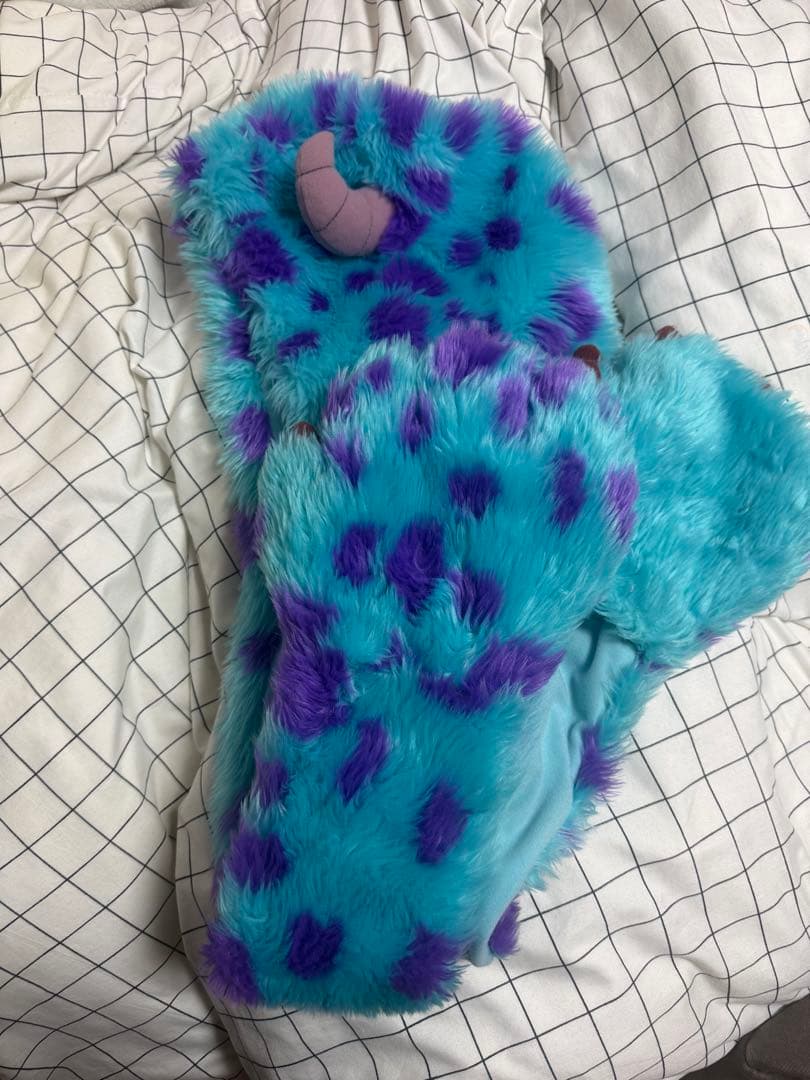 サリー ファンキャップ