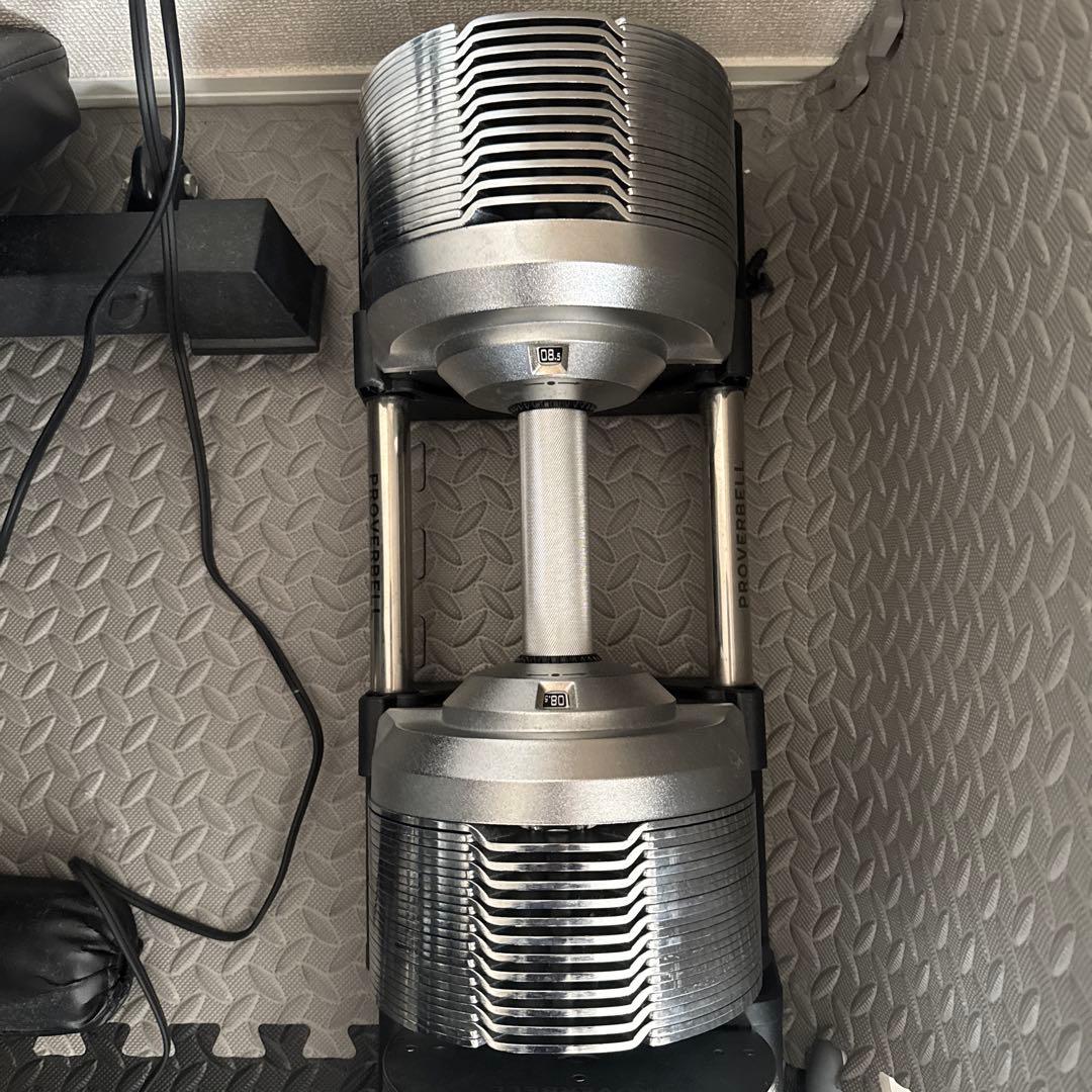 プロバーベル 41.5 シルバー 2個セット引き取り/近距離配送OK