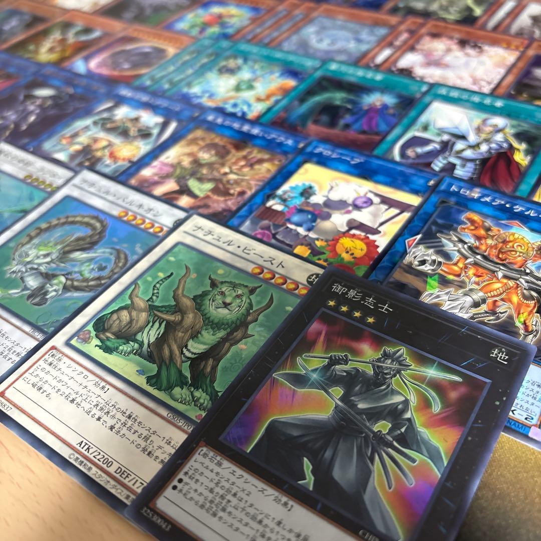 大会優勝構築 磁石アダマシアデッキ リニアマグナム± 魔救の探索者 御影志士